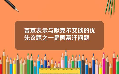 普京表示与默克尔交谈的优先议题之一是阿富汗问题