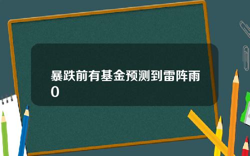 暴跌前有基金预测到雷阵雨0