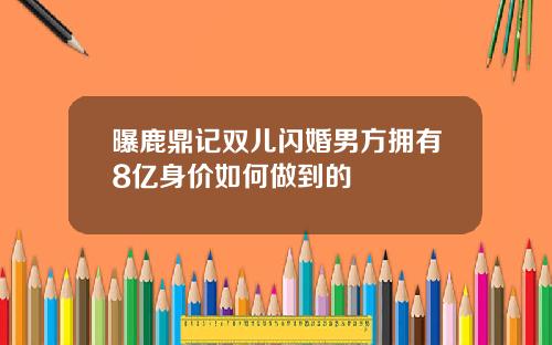 曝鹿鼎记双儿闪婚男方拥有8亿身价如何做到的