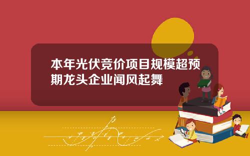 本年光伏竞价项目规模超预期龙头企业闻风起舞