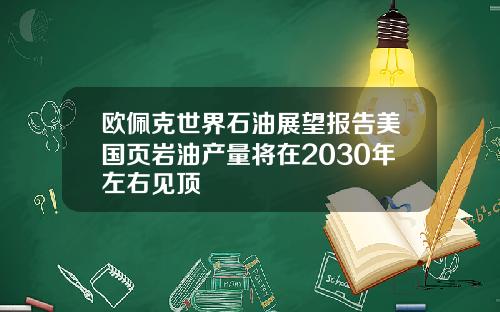 欧佩克世界石油展望报告美国页岩油产量将在2030年左右见顶