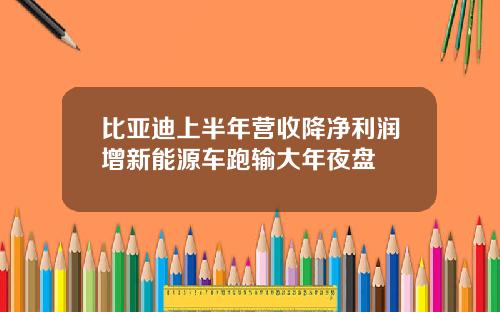 比亚迪上半年营收降净利润增新能源车跑输大年夜盘