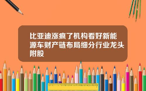 比亚迪涨疯了机构看好新能源车财产链布局细分行业龙头附股