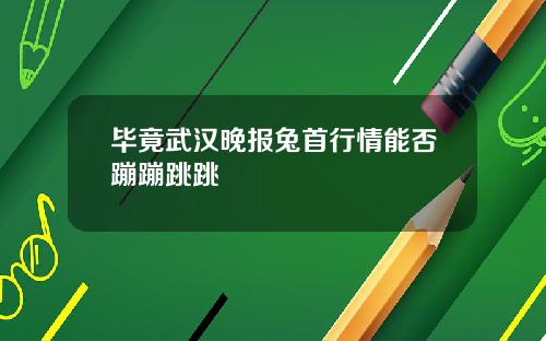 毕竟武汉晚报兔首行情能否蹦蹦跳跳