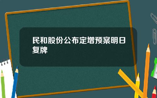 民和股份公布定增预案明日复牌
