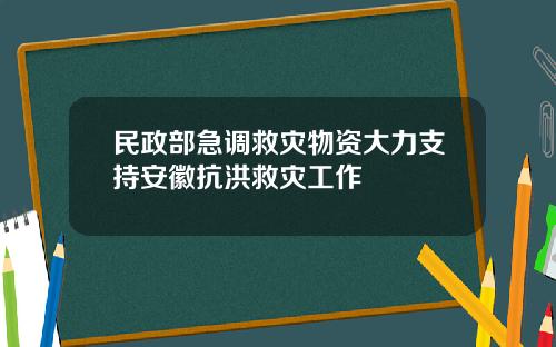 民政部急调救灾物资大力支持安徽抗洪救灾工作
