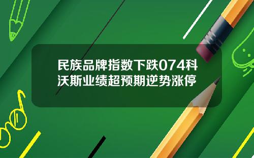 民族品牌指数下跌074科沃斯业绩超预期逆势涨停