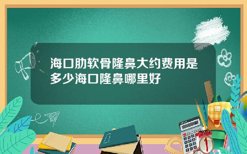 海口肋软骨隆鼻大约费用是多少海口隆鼻哪里好