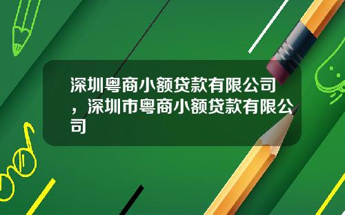 深圳粤商小额贷款有限公司,深圳市粤商小额贷款有限公司
