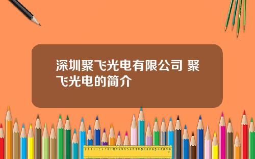 深圳聚飞光电有限公司 聚飞光电的简介