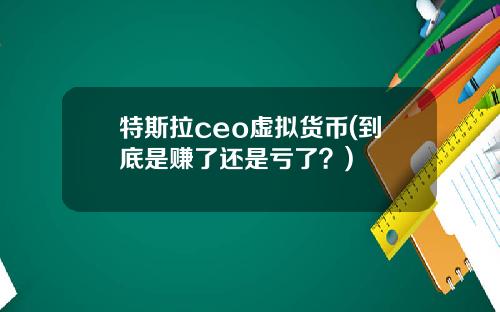 特斯拉ceo虚拟货币(到底是赚了还是亏了?)