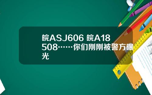 皖ASJ606 皖A18508……你们刚刚被警方曝光