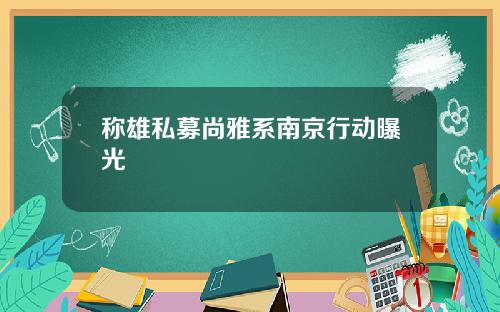 称雄私募尚雅系南京行动曝光