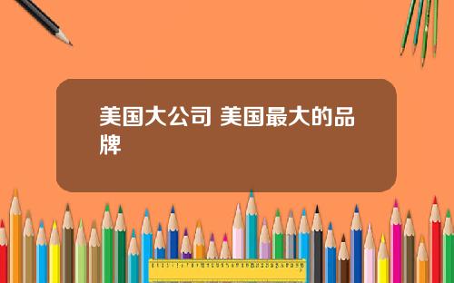 美国大公司 美国最大的品牌