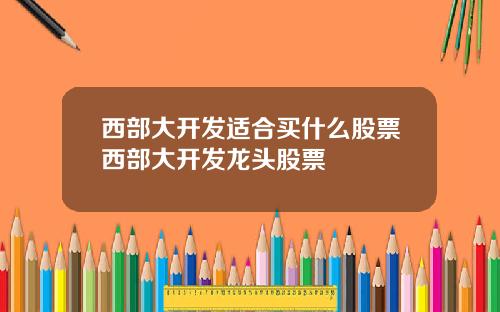 西部大开发适合买什么股票西部大开发龙头股票