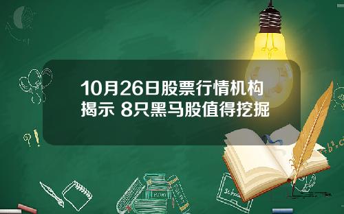 10月26日股票行情机构揭示 8只黑马股值得挖掘