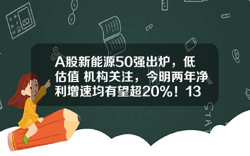 A股新能源50强出炉，低估值+机构关注，今明两年净利增速均有望超20%！13只10倍股诞生，北上资金大手笔买入20股-股票资讯类有那些公司
