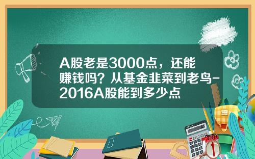 A股老是3000点，还能赚钱吗？从基金韭菜到老鸟-2016A股能到多少点