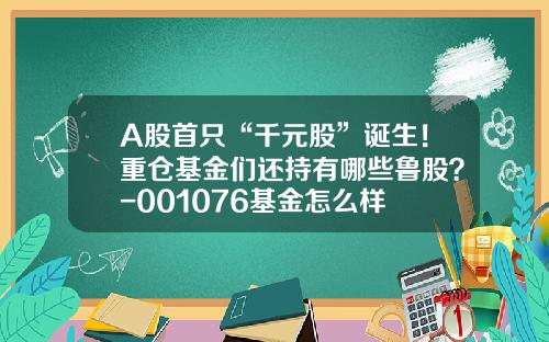 A股首只“千元股”诞生！重仓基金们还持有哪些鲁股？-001076基金怎么样