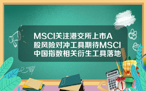 MSCI关注港交所上市A股风险对冲工具期待MSCI中国指数相关衍生工具落地
