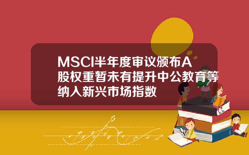 MSCI半年度审议颁布A股权重暂未有提升中公教育等纳入新兴市场指数
