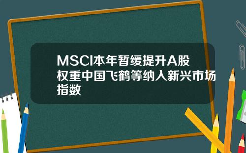 MSCI本年暂缓提升A股权重中国飞鹤等纳入新兴市场指数