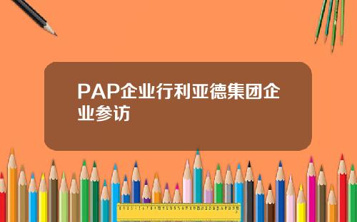 PAP企业行利亚德集团企业参访