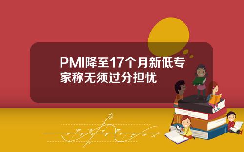 PMI降至17个月新低专家称无须过分担忧