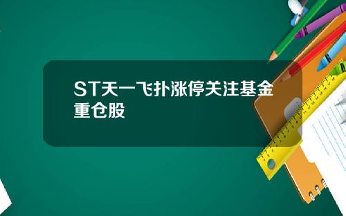 ST天一飞扑涨停关注基金重仓股
