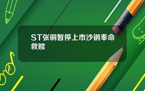 ST张铜暂停上市沙钢奉命救赎