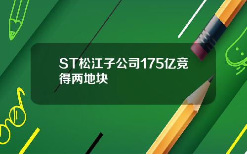 ST松江子公司175亿竞得两地块