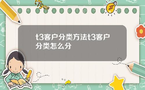 t3客户分类方法t3客户分类怎么分