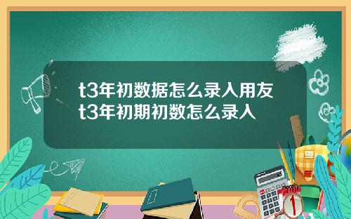 t3年初数据怎么录入用友t3年初期初数怎么录入