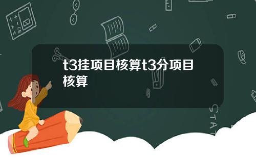 t3挂项目核算t3分项目核算