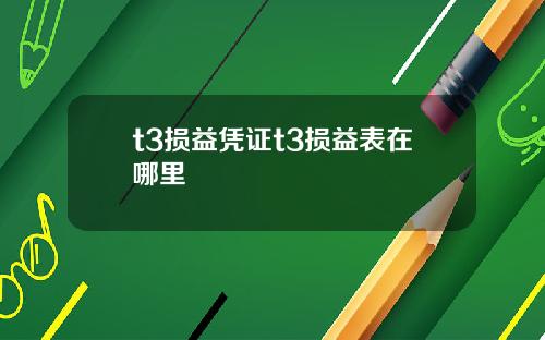t3损益凭证t3损益表在哪里