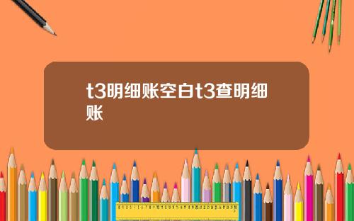 t3明细账空白t3查明细账