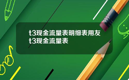 t3现金流量表明细表用友t3现金流量表
