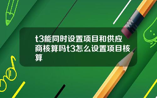 t3能同时设置项目和供应商核算吗t3怎么设置项目核算