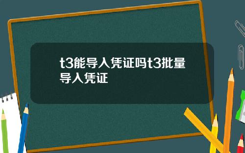t3能导入凭证吗t3批量导入凭证