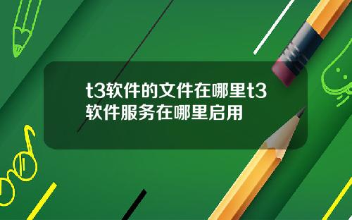 t3软件的文件在哪里t3软件服务在哪里启用