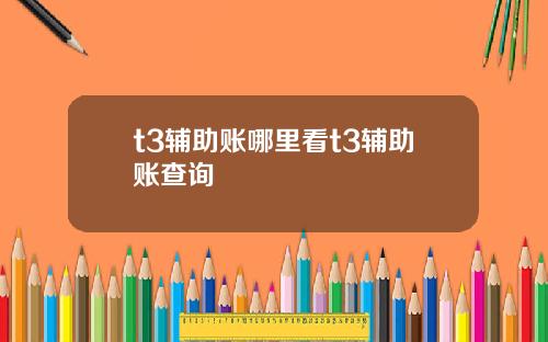 t3辅助账哪里看t3辅助账查询