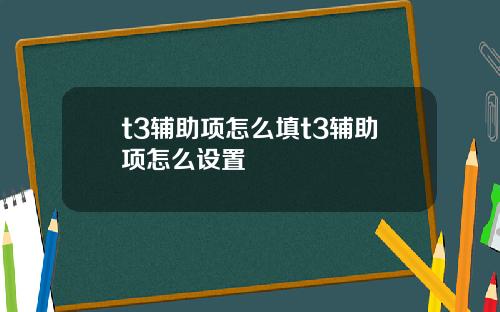 t3辅助项怎么填t3辅助项怎么设置