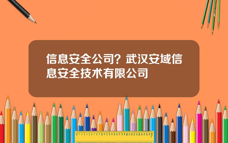 信息安全公司？武汉安域信息安全技术有限公司