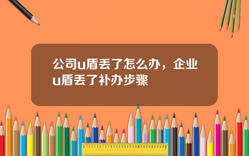 公司u盾丢了怎么办，企业u盾丢了补办步骤