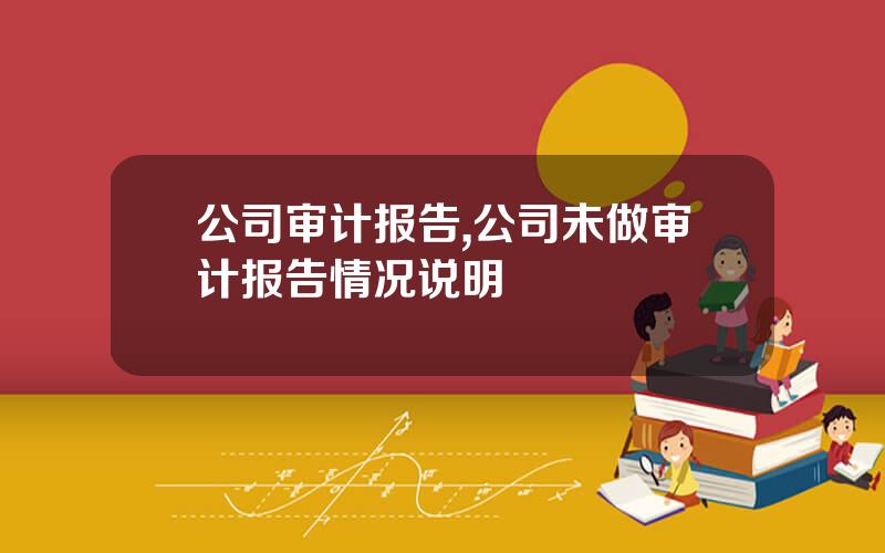 公司审计报告,公司未做审计报告情况说明