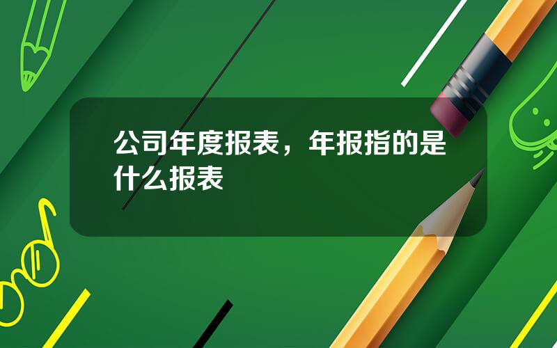 公司年度报表，年报指的是什么报表