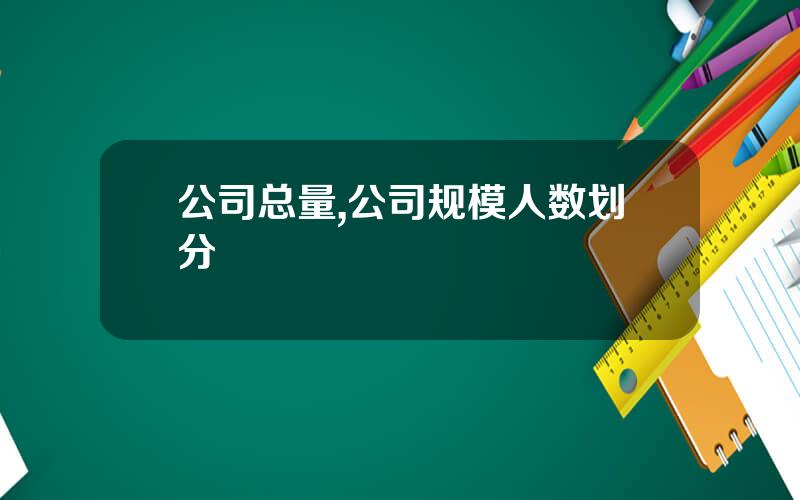 公司总量,公司规模人数划分