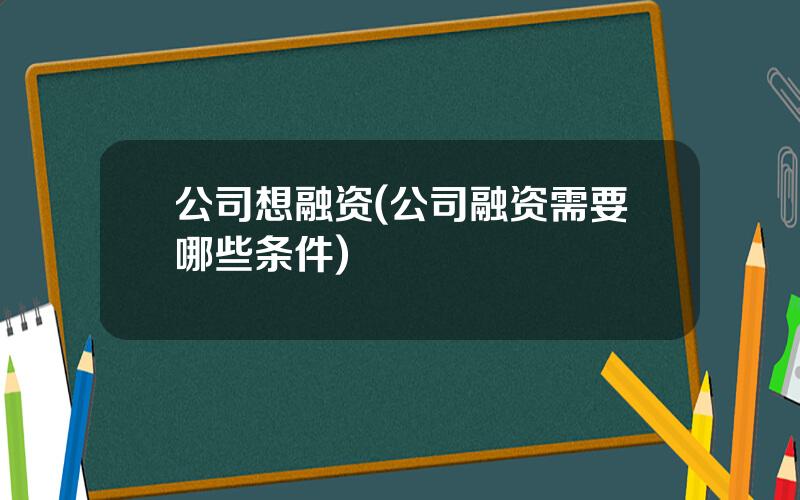 公司想融资(公司融资需要哪些条件)