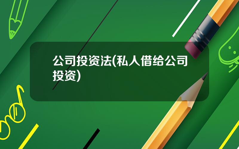 公司投资法(私人借给公司投资)