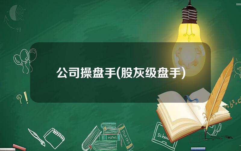 公司操盘手(股灰级盘手)
